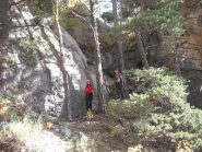 discesa veloce nel bosco