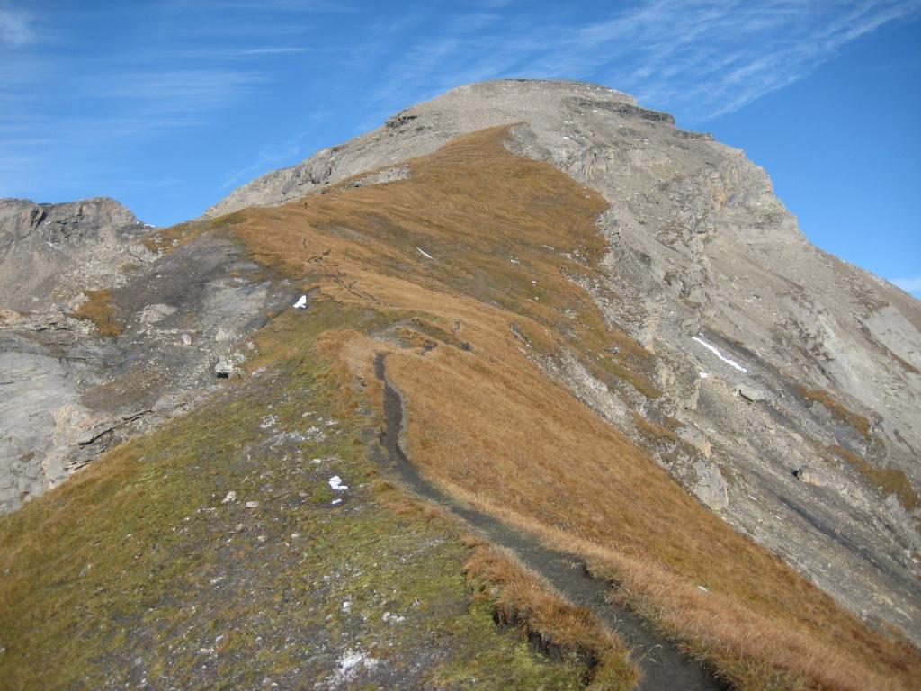 il crestone di salita e la cima