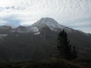Terrarossa