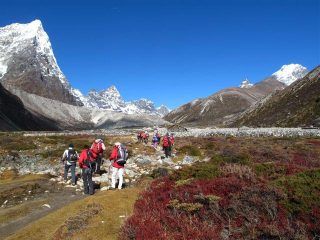 Nel vallone di Pheriche