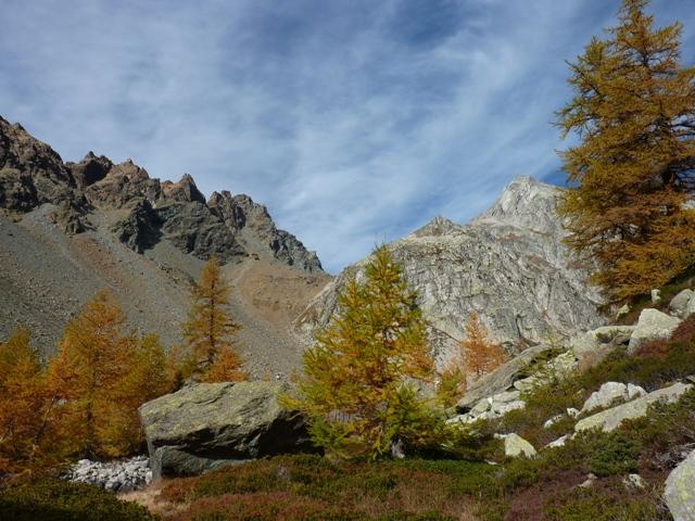 pizzo crampiolo-canale per passo di crampiolo-torri di geisspfad