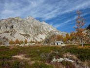 alpe di valdeserta