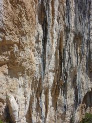Il muro a canne del 7c
