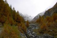 Peccato manchi il sole