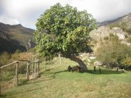 si parte con il sole