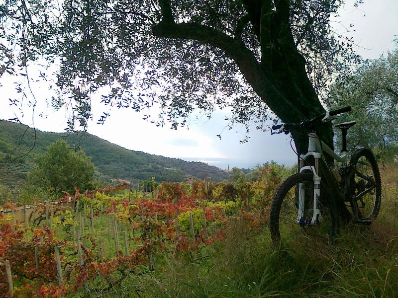 panorama verso vasia