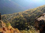 passerella vista da ultimo ponte