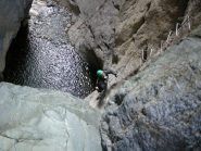 Dominique in progressione