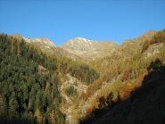 Il lampone e la sua vallata