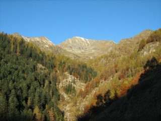 Il lampone e la sua vallata