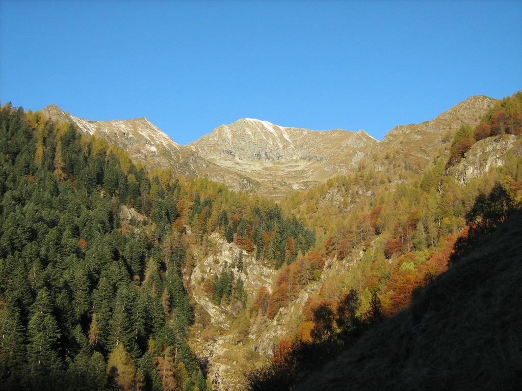 Il lampone e la sua vallata