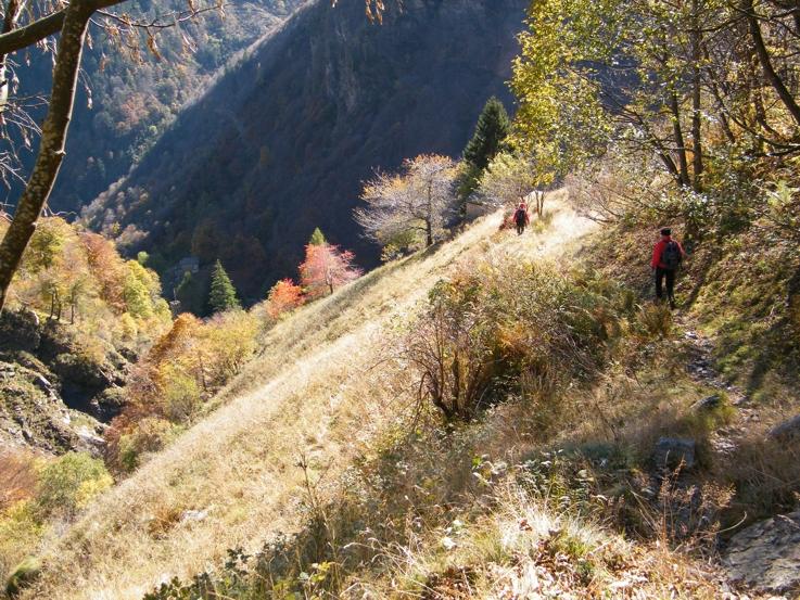 In discesa, poco prima dell'Alpe Oro