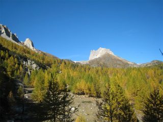 Colori
