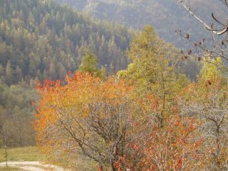colori autunnali