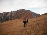 immensi prati e la cima sullo sfondo 