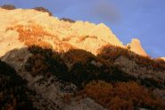 l'ultimo sole del pomeriggio su pareti e alberi nel Vallon d'Escreins (23-10-2010)