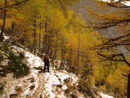 Colori spettacolari