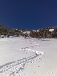 le tracce in alto...