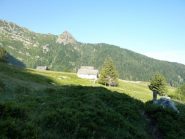 Alpe Campra dal rientro nel bosco