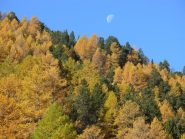 colori autunnali in valle stretta