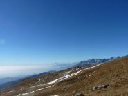 verso il viso