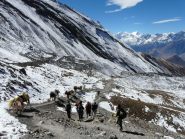 in discesa dal passo