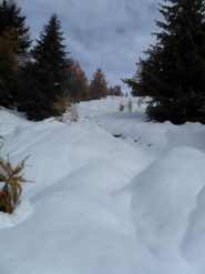 ecco il percorso che ho davanti