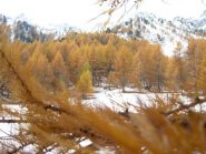 solo bianco e oro