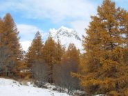 colori d'autunno in valle stretta