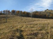 Antecima di Punta Arbella dall'Alpe del Prete