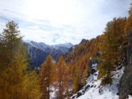 Panorama sulla Valle Maira