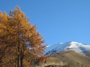 la cresta