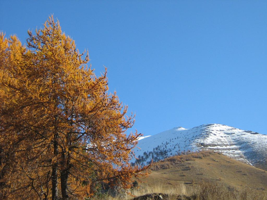 la cresta