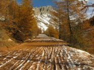 Autunno