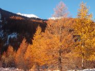 autunno 