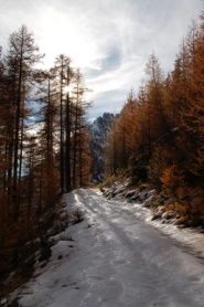 Salendo lungo la strada