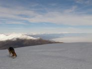 Vista verso gruppo del Rosa