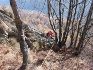 Alberto si appende per bene all'albero di L2