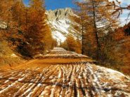 autunno...