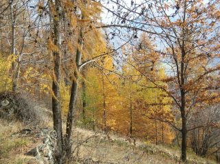 I bei colori autunnali