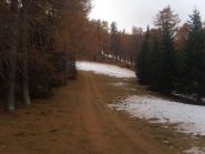 03 - pista scoiattolo