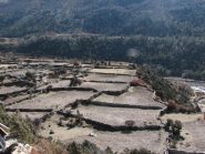 Campi coltivati a 4000 mt
