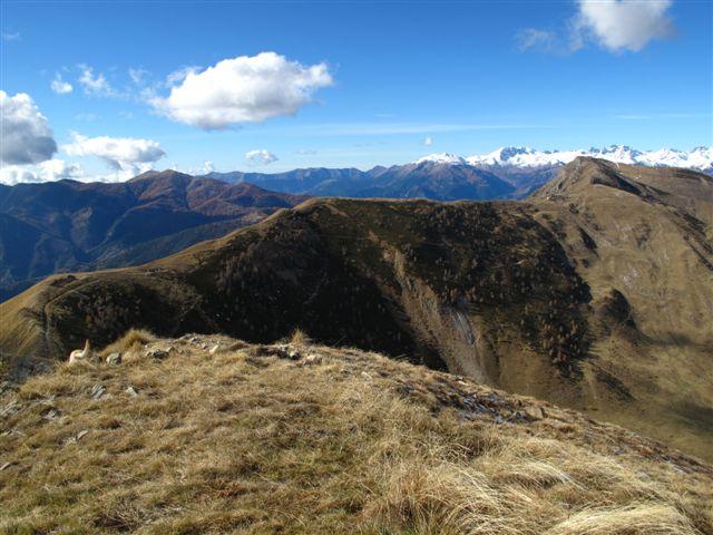 Crinale verso il Saccarello