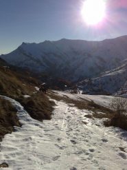 la strada