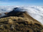 Crinale verso il Monega