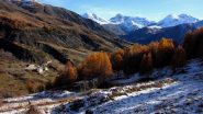 nella parte iniziale del bosco di Traverse et Melezen..con vista su Intra Bas