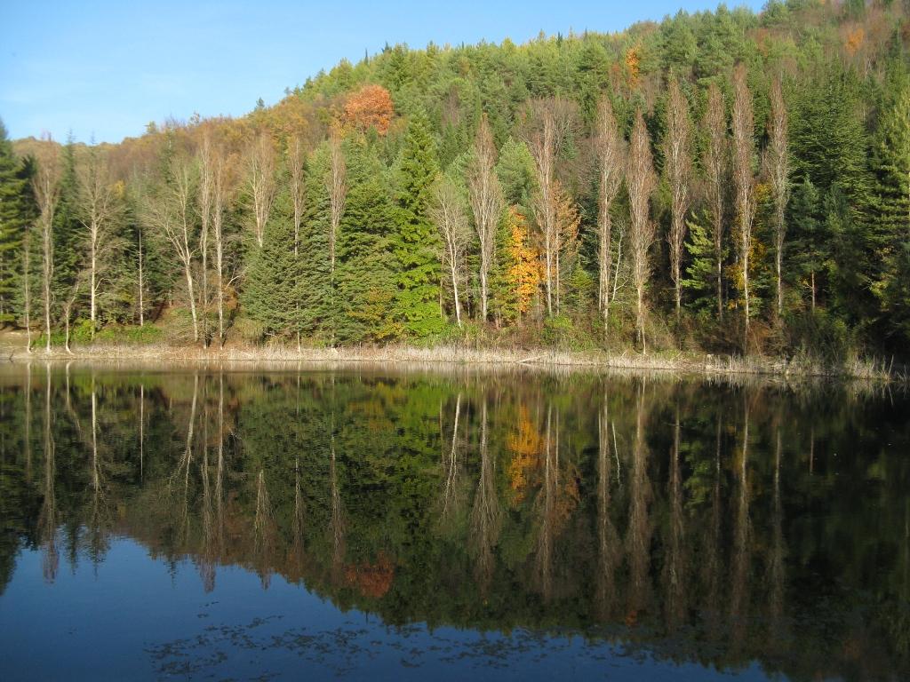 Il laghetto principale di Percile