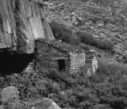 Il Gias Leitosa primo