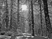 Neve!