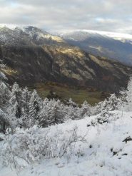 in basso Autunno,in alto Inverno